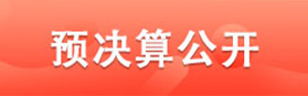 預(yù)決算公開(kāi)